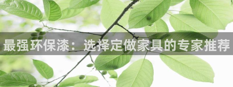 沐鸣2测速网址电脑版：最强环保漆：选择定做家具的专家推荐