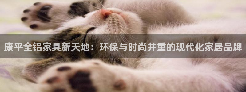 沐鸣2平台下载：康平全铝家具新天地：环保与时尚并重的现代化家
