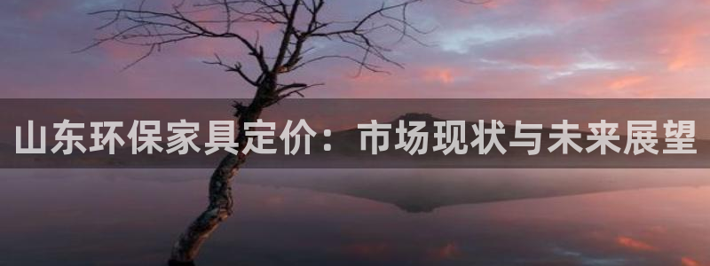 沐鸣2是什么平台：山东环保家具定价：市场现状与未来展望