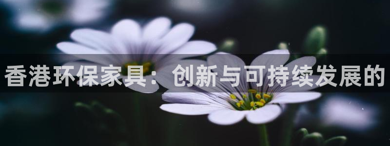 沐鸣2注册代理：香港环保家具：创新与可持续发展的