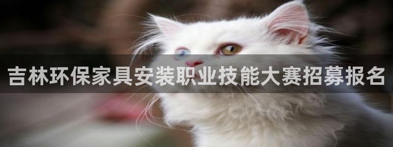 沐鸣2代理连接：吉林环保家具安装职业技能大赛招募报名