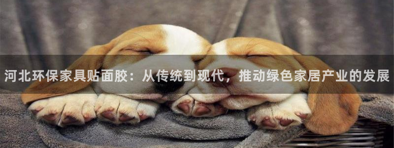 沐鸣2测速网址电脑版：河北环保家具贴面胶：从传统到现代，推动