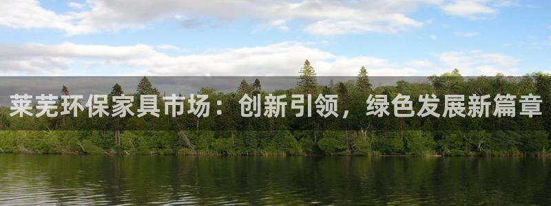 沐鸣2平台怎么样：莱芜环保家具市场：创新引领，绿色发展新篇章
