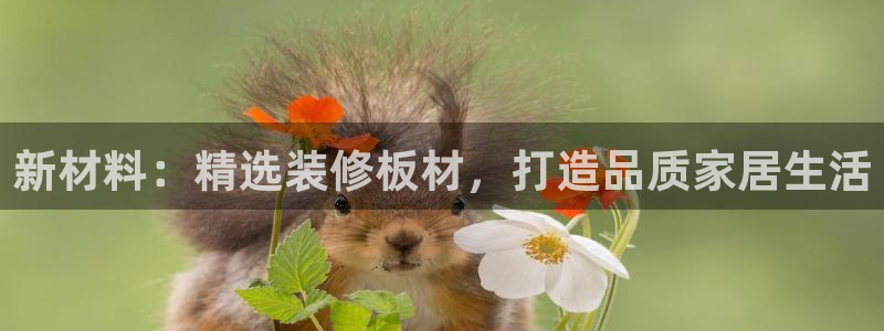 沐鸣2代理连接：新材料：精选装修板材，打造品质家居生活