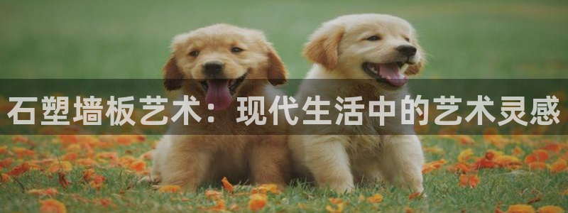 沐鸣2平台服务中心：石塑墙板艺术：现代生活中的艺术灵感