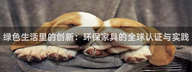 沐鸣2平台代理注册