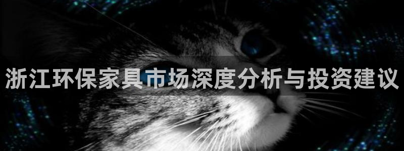 沐鸣2平台注册流程：浙江环保家具市场深度分析与投资建议