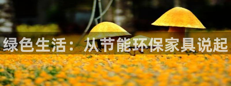 沐鸣2平台官方登录：绿色生活：从节能环保家具说起