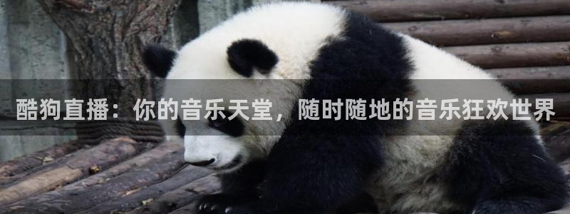 9255tv直播无插件nba