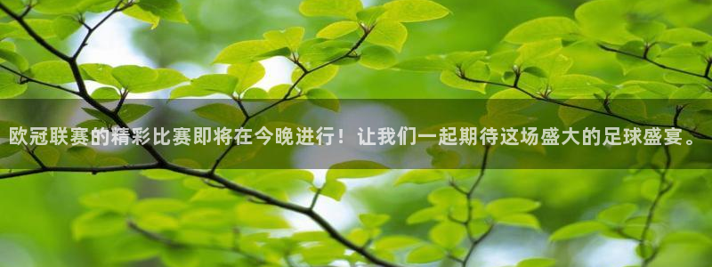 9255tv直播nba在线直播