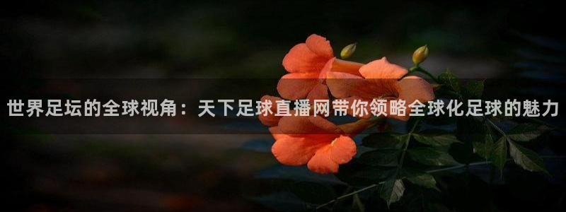 9255tv直播nba在线直播