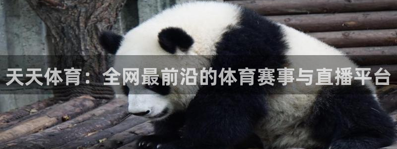 9255tv直播无插件nba：天天体育：全网最前沿的体育赛事与直播平台