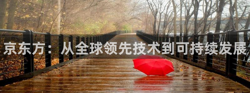 9255tv直播无插件nba：京东方：从全球领先技术到可持续发展