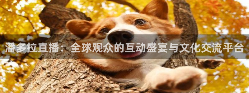 9255tv直播无插件nba：潘多拉直播：全球观众的互动盛宴与文化交流平台