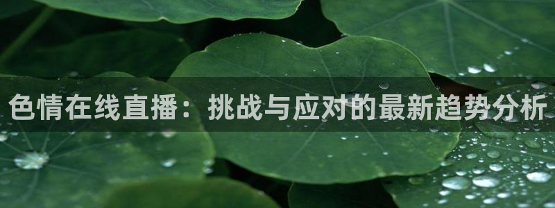 9255tv直播无插件nba：色情在线直播：挑战与应对的最新趋势分析