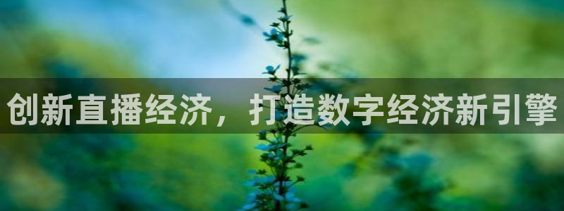 9255tv直播无插件nba：创新直播经济，打造数字经济新引擎