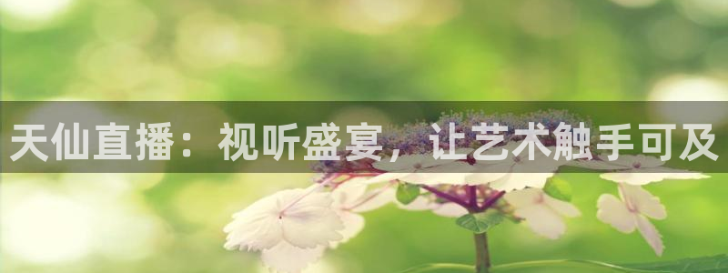 9255tv直播nba在线直播：天仙直播：视听盛宴，让艺术触手可及