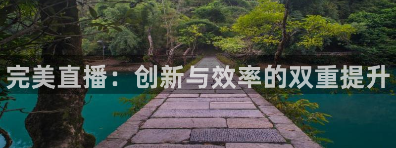 9255tv直播nba在线观看：完美直播：创新与效率的双重提升