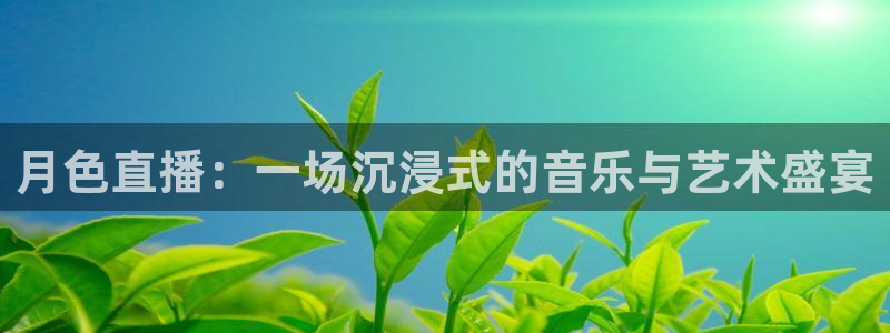9255tv直播无插件nba：月色直播：一场沉浸式的音乐与艺术盛宴