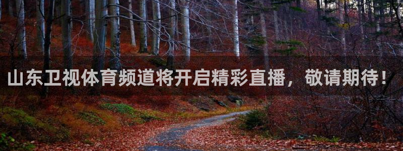 9255tv直播无插件nba：山东卫视体育频道将开启精彩直播，敬请期待！